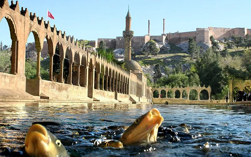 KADİM ŞEHİRLER, EŞSİZ HİKAYELER: GAP MEZOPOTAMYA TURU