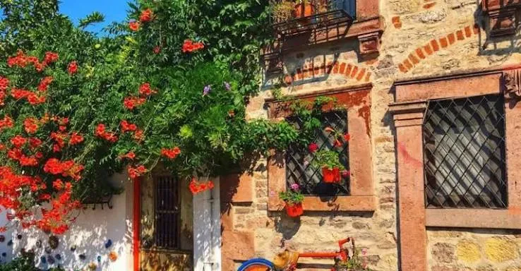 KLASİK AYVALIK TURLARINI UNUTUN! CENNET TEPESİ - CUNDA - KÜÇÜKKÖY - SARIMSAKLI PLAJI TURU