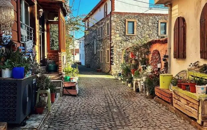 KLASİK AYVALIK TURLARINI UNUTUN! CENNET TEPESİ - CUNDA - KÜÇÜKKÖY - SARIMSAKLI PLAJI TURU