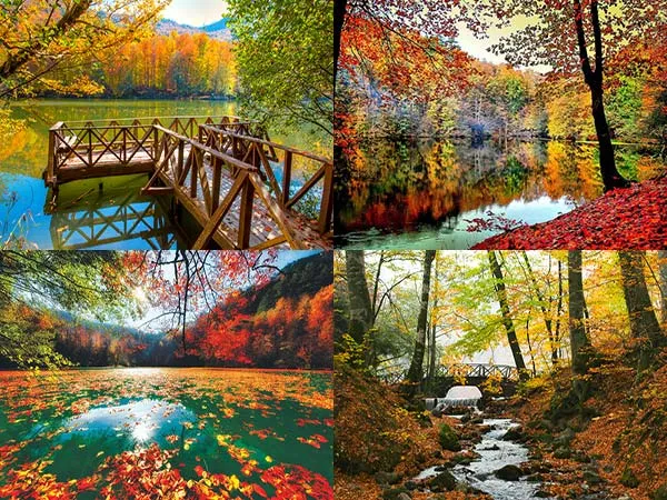 SONBAHARIN EN GÜZEL HALİ: ABANT & YEDİGÖLLER TURU 🍂🌲
