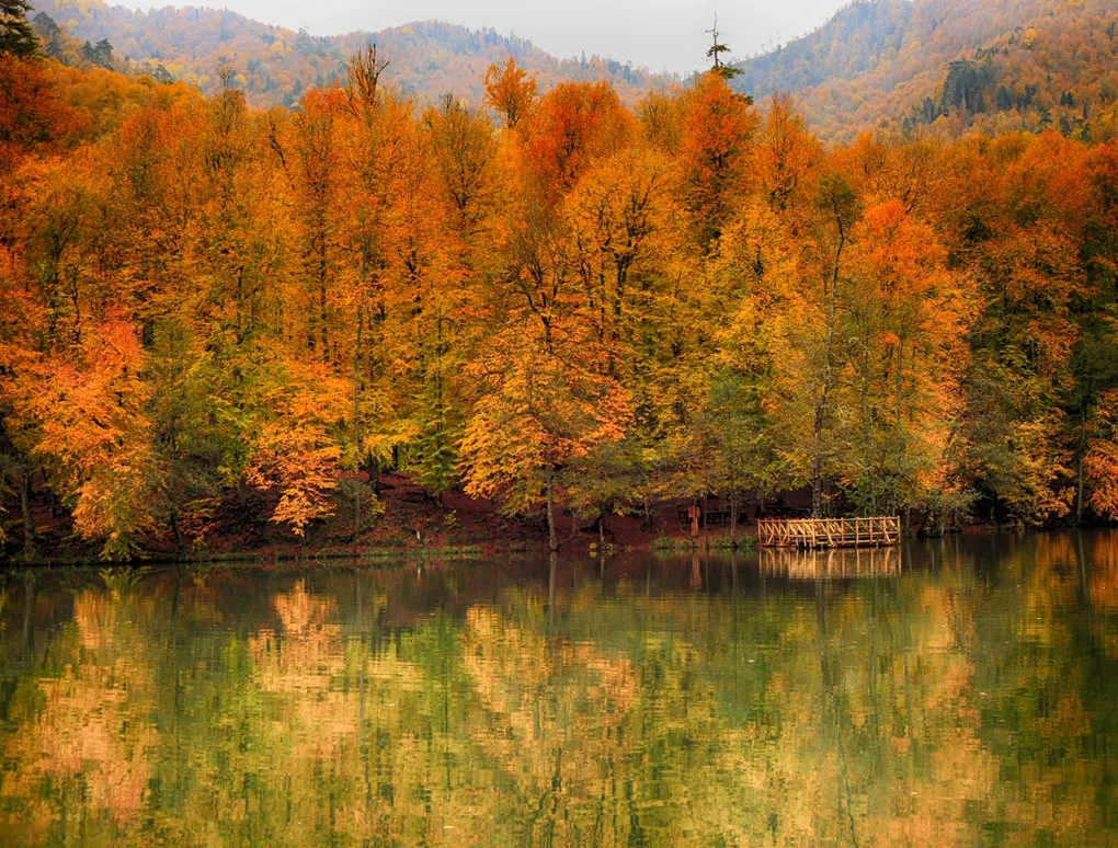 SONBAHARIN EN GÜZEL HALİ: ABANT & YEDİGÖLLER TURU 🍂🌲