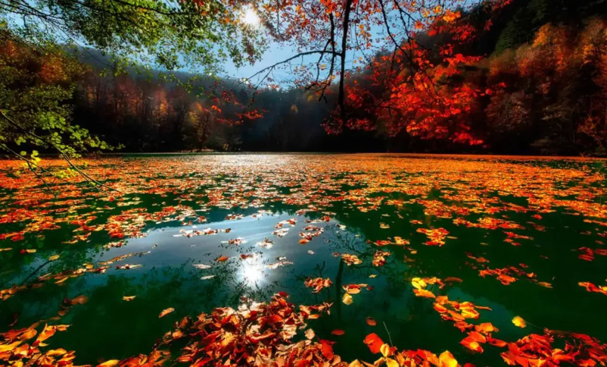SONBAHARIN EN GÜZEL HALİ: ABANT & YEDİGÖLLER TURU 🍂🌲