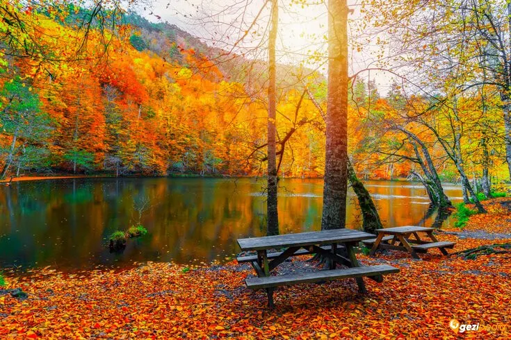 SONBAHARIN EN GÜZEL HALİ: ABANT & YEDİGÖLLER TURU 🍂🌲
