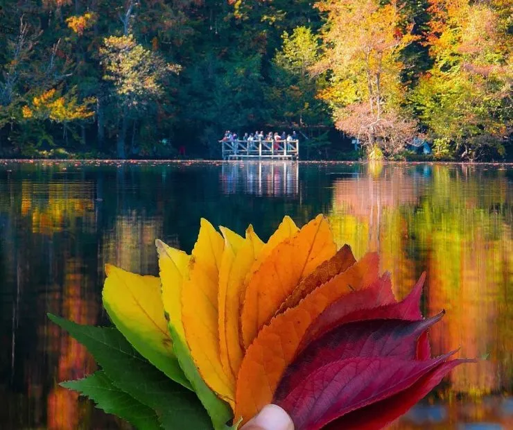 SONBAHARIN EN GÜZEL HALİ: ABANT & YEDİGÖLLER TURU 🍂🌲