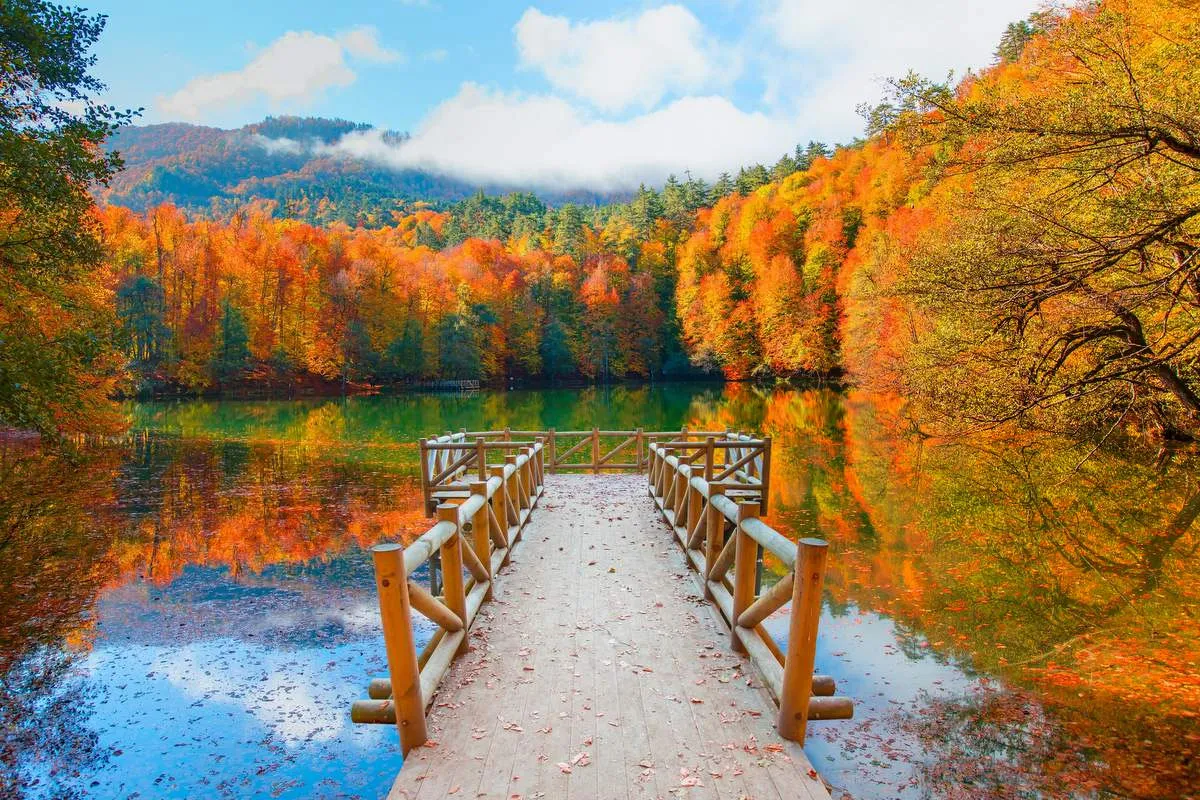 SONBAHARIN EN GÜZEL HALİ: ABANT & YEDİGÖLLER TURU 🍂🌲